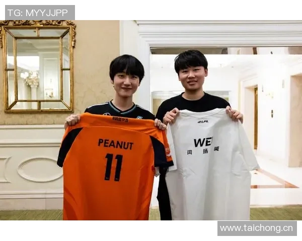 英雄联盟团队协作排行榜揭晓WE战队表现卓越名列前茅